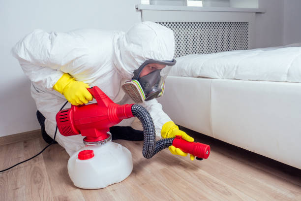 Best Pest Prevention Services  in Ossun, LA